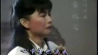 汤镇宗爆料视频,独家爆料视频背后的惊人真相